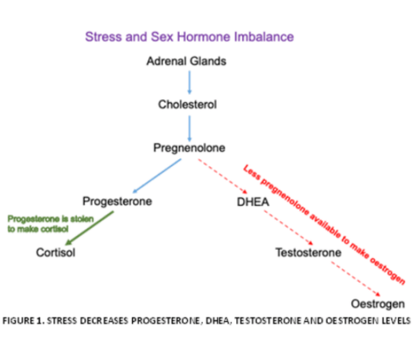 Fertilité et stress Fertilité et stress