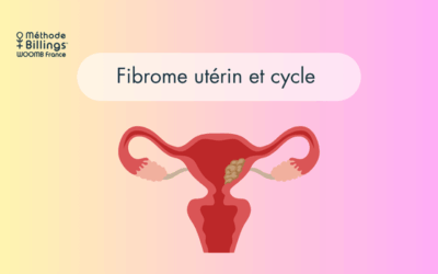 Fibrome utérin et fertilité : comprendre les enjeux