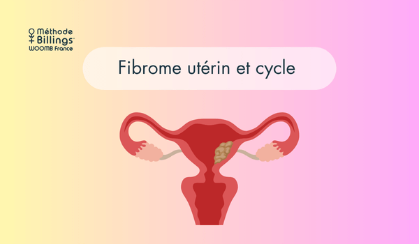 Fibrome utérin et fertilité : comprendre les enjeux