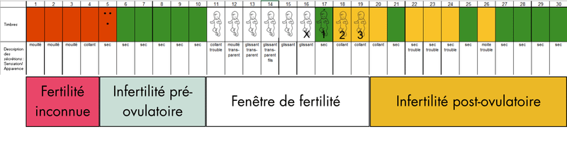Carte visuelle de la fertilité menstruelle Tableau Billings : Carte visuelle de la fertilité du cycle menstruel