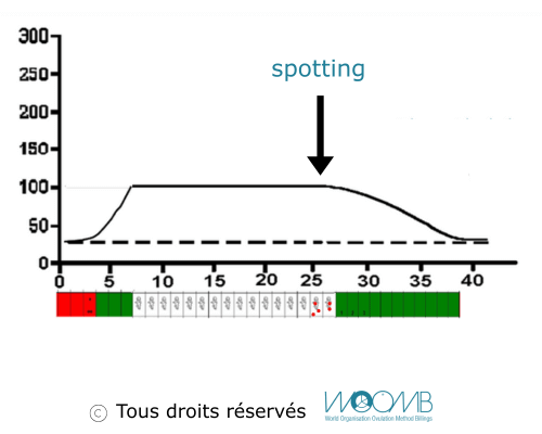 les œstrogènes chutent Pas d'ovulation les œstrogènes chutent Pas d'ovulation
