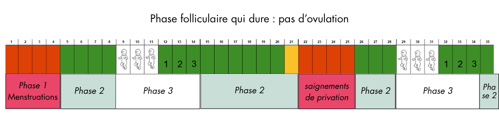 Cycle menstruel anovulatoire schéma Cycle menstruel anovulatoire schéma