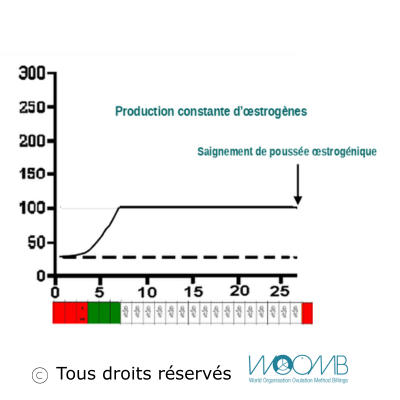 stagnation des œstrogènes stagnation des œstrogènes